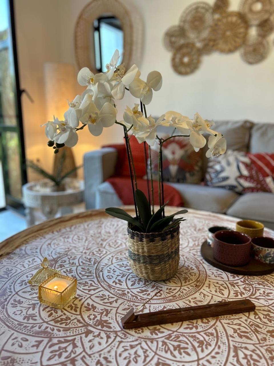 Nomad Bali